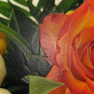 Meet your Posher, Lyn